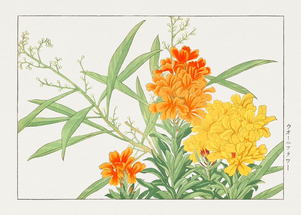 Wall flower woodblock painting.  Digitally enhanced from our own 1917 edition of Seiyô SÔKA ZUFU by Tanigami Kônan.