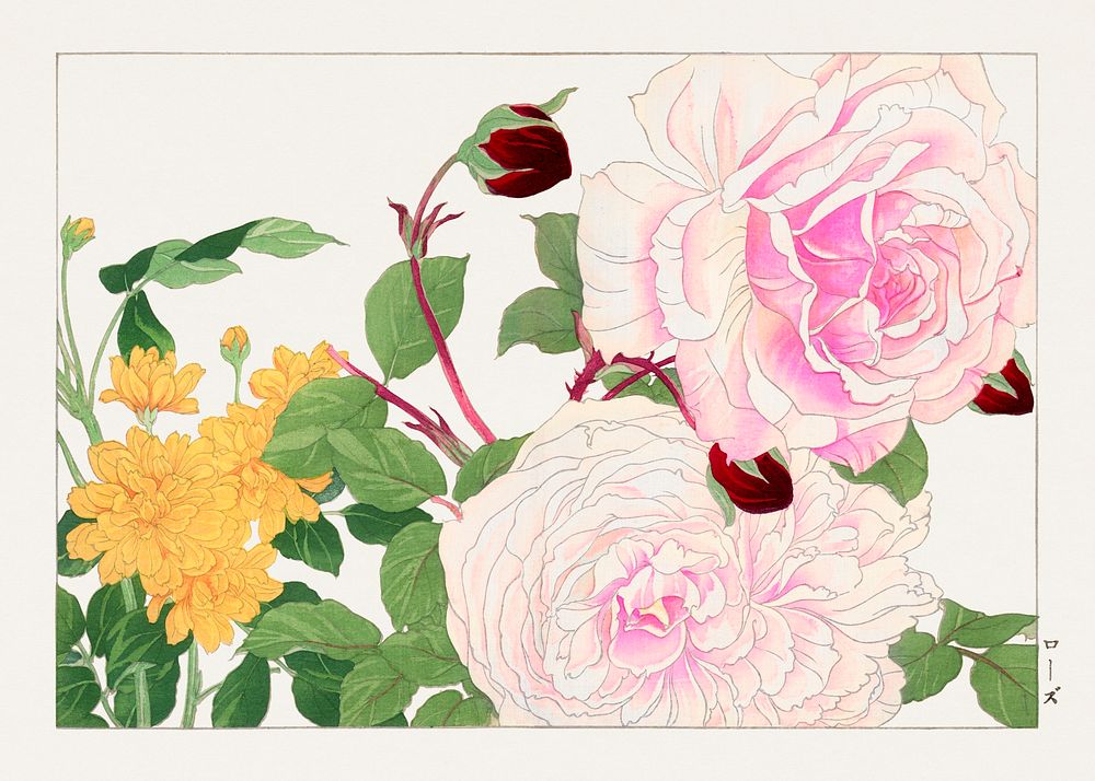 Vintage rose, ukiyo e artwork.  Digitally enhanced from our own 1917 edition of Seiyô SÔKA ZUFU by Tanigami Kônan.