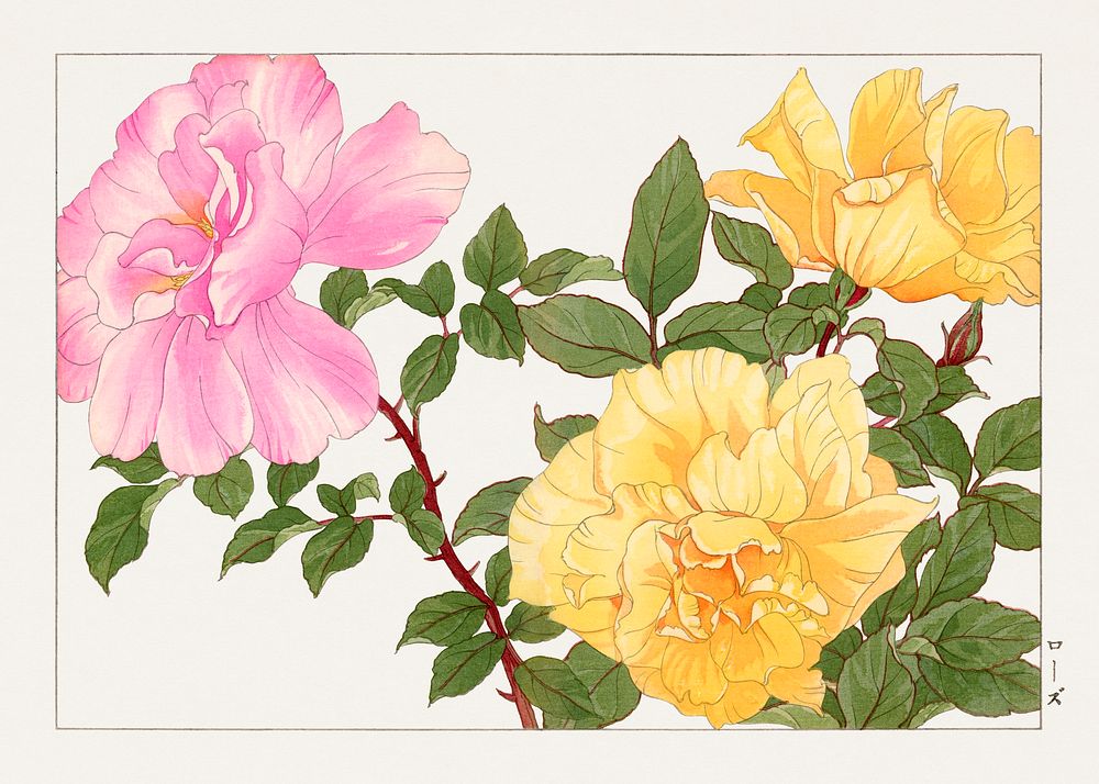 Rose flower, Japanese woodblock art.  Digitally enhanced from our own 1917 edition of Seiyô SÔKA ZUFU by Tanigami Kônan.