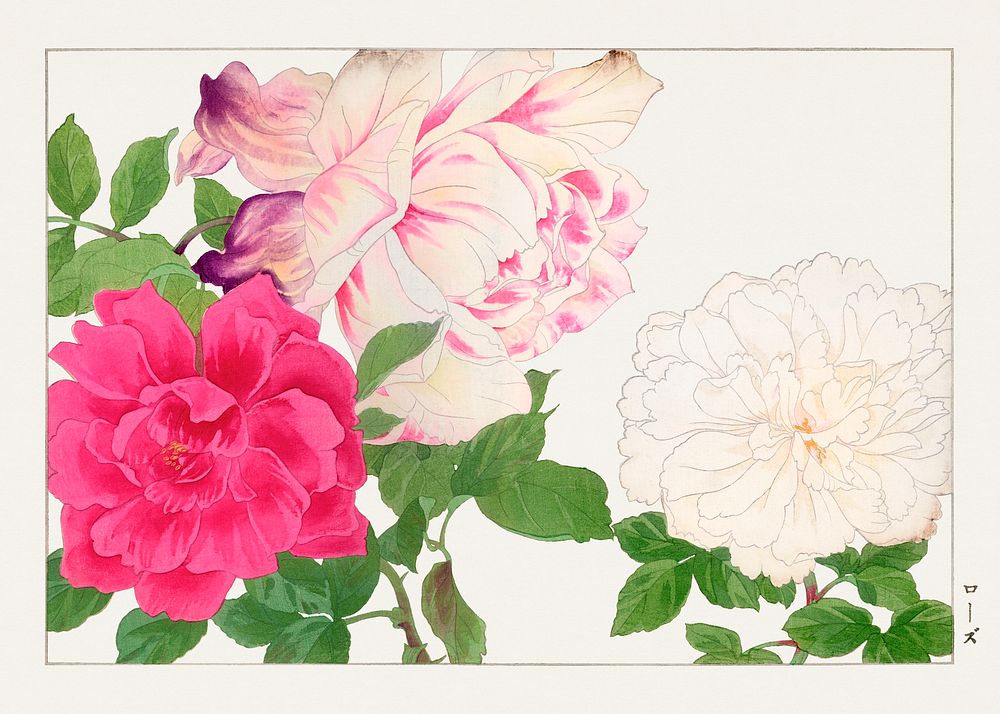 Rose flower, Japanese woodblock art.  Digitally enhanced from our own 1917 edition of Seiyô SÔKA ZUFU by Tanigami Kônan.