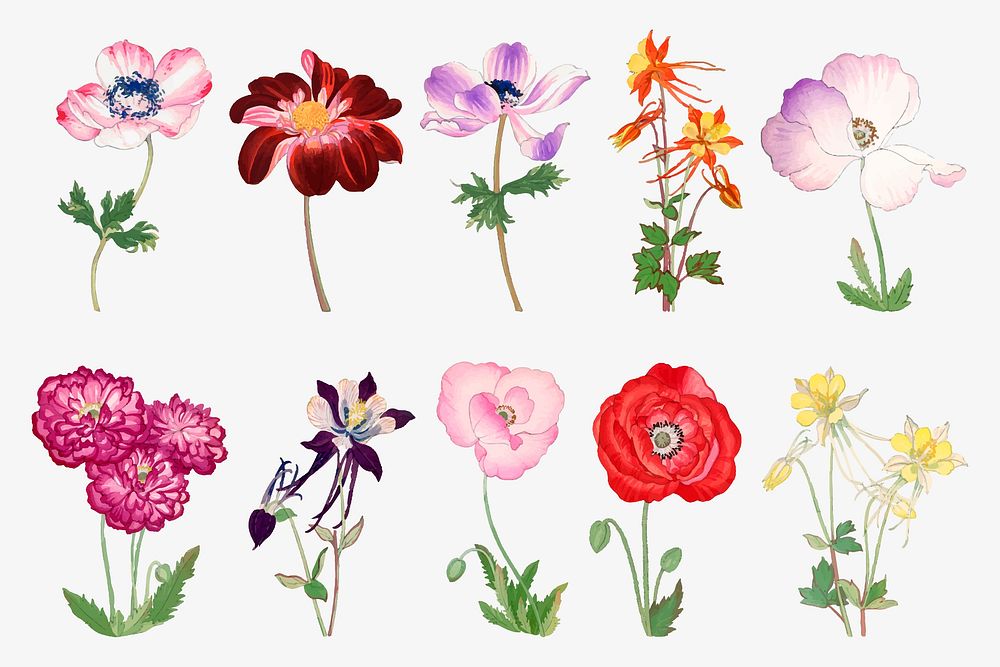 Flower sticker, floral ukiyo-e woodblock art, transparent background vector set