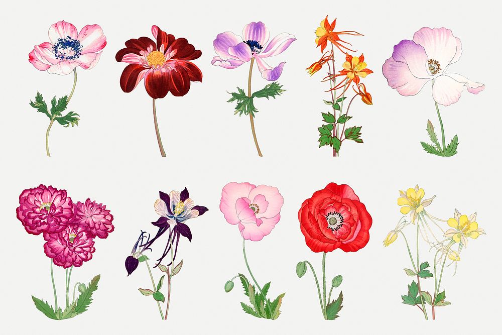 Flower sticker, floral ukiyo-e woodblock art, transparent background psd set