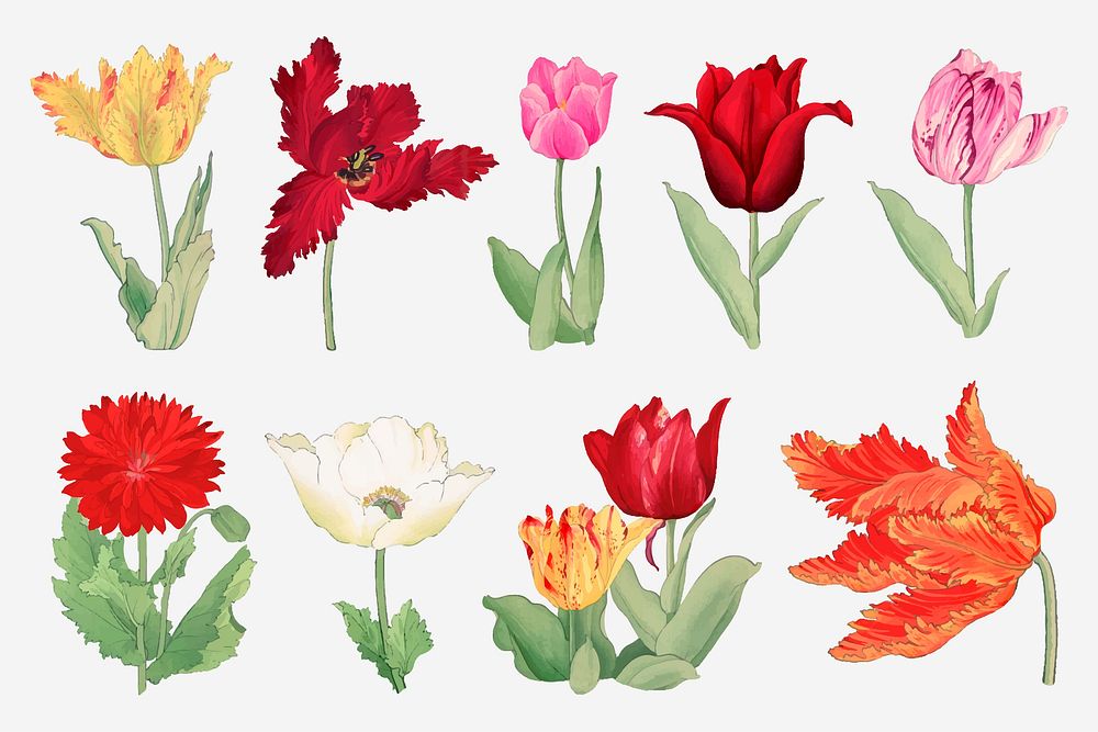 Tulip collage element, floral ukiyo-e woodblock art vector set