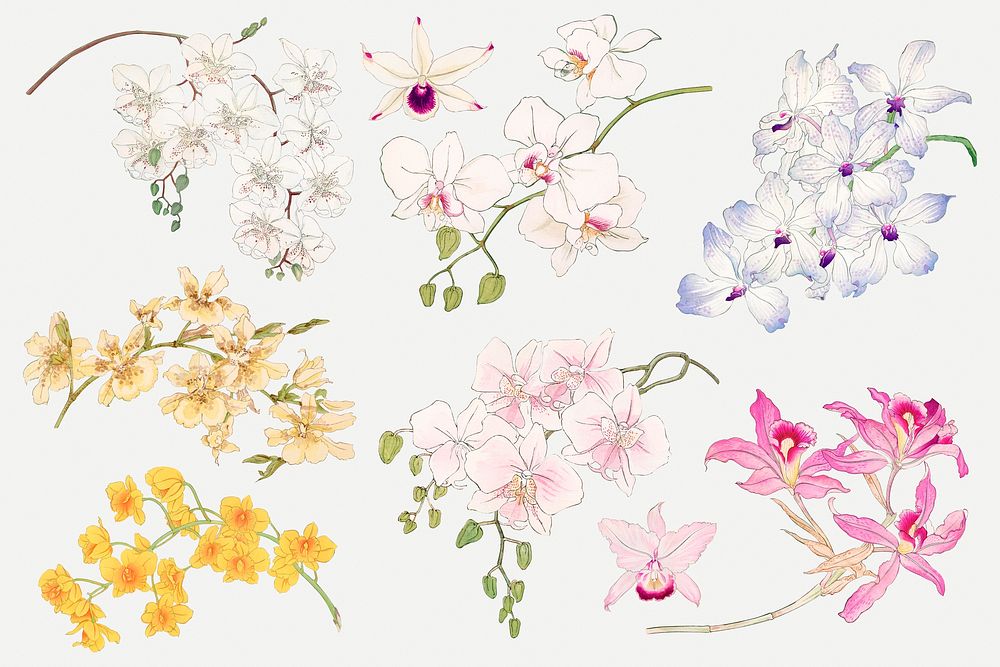 Orchid flower collage element, floral Japanese woodblock art psd set
