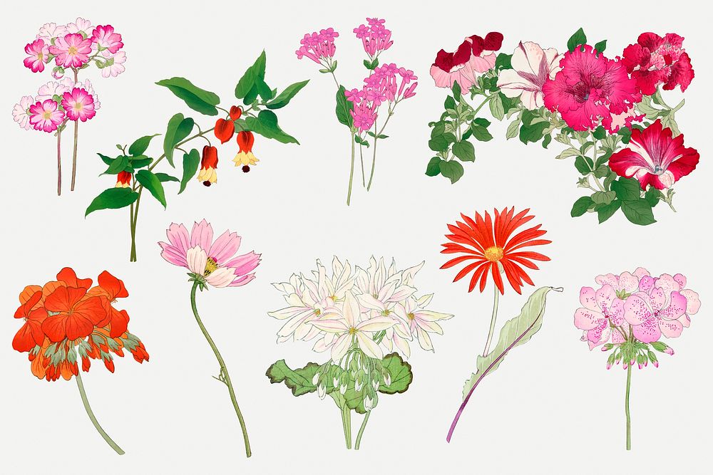 Wildflower collage element, floral Japanese woodblock art psd set