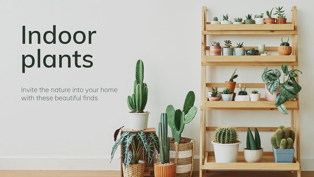 Indoor gardening template psd with small houseplants