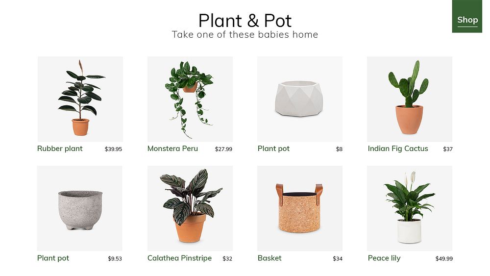 Plant and pot template psd for social media ad