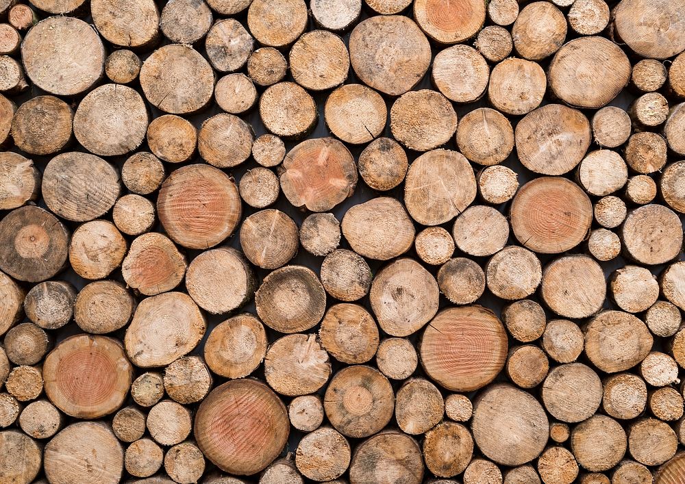 Wood log pile pattern background, circles design