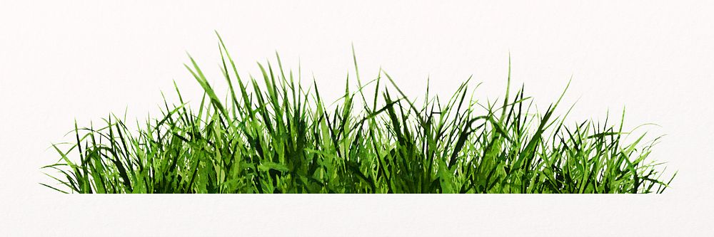 Grass border, nature collage element design psd