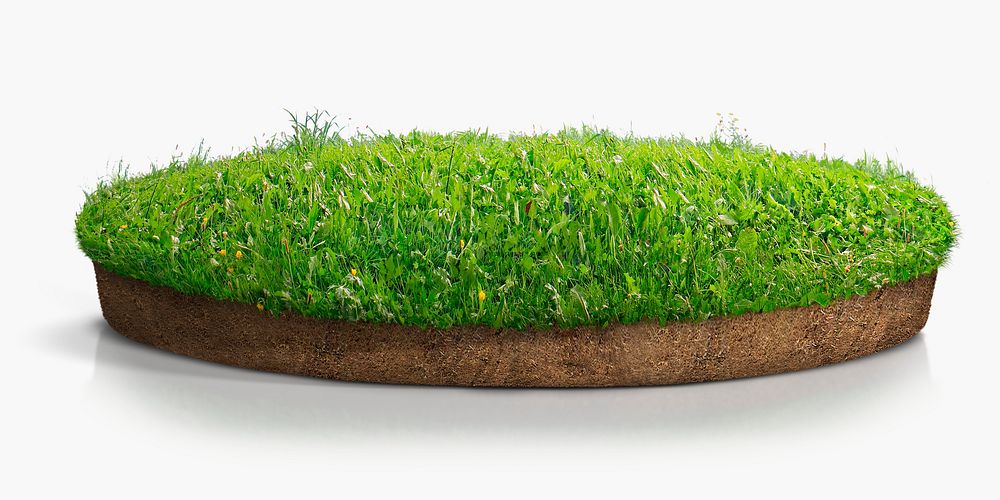 Grass ground isolated on white, nature design psd