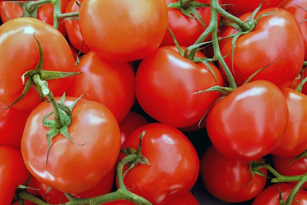 Free image of a big pile of fresh tomatoes, public domain CC0 photo.