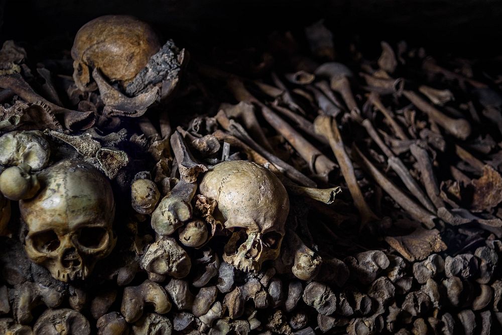 Free skulls and bones image, public domain Halloween CC0 photo.