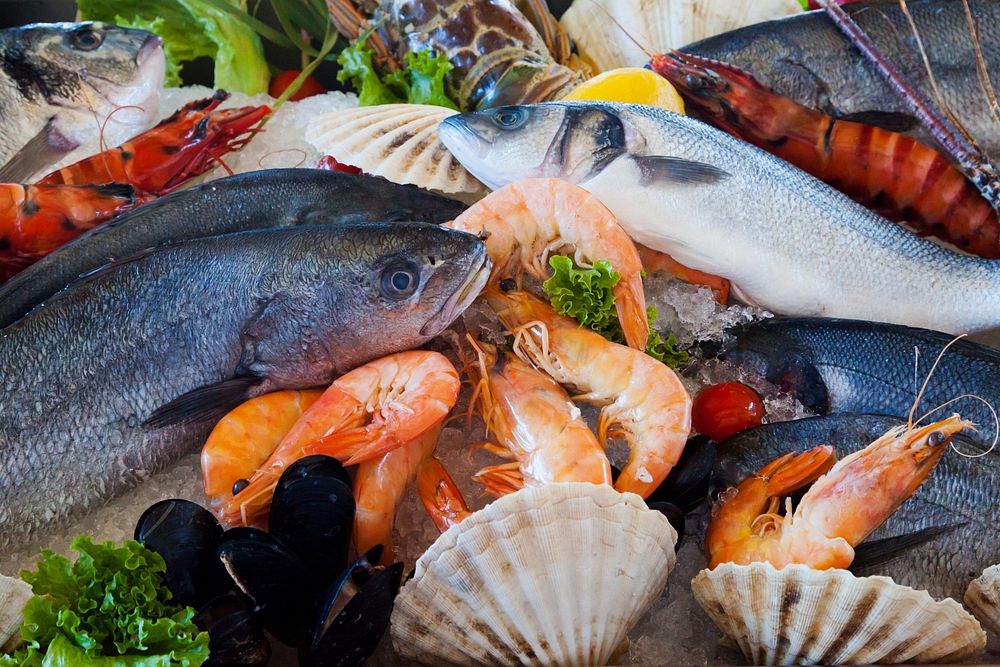 Free seafood image, public domain fresh market CC0 photo.