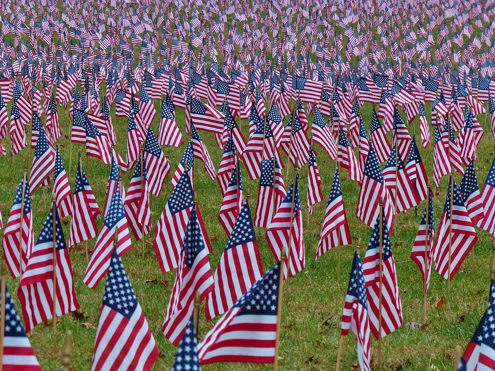Free American flags on yard image, public domain CC0 photo.