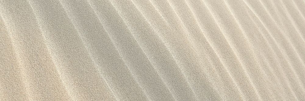 Sand texture texture, twitter header background, social media design