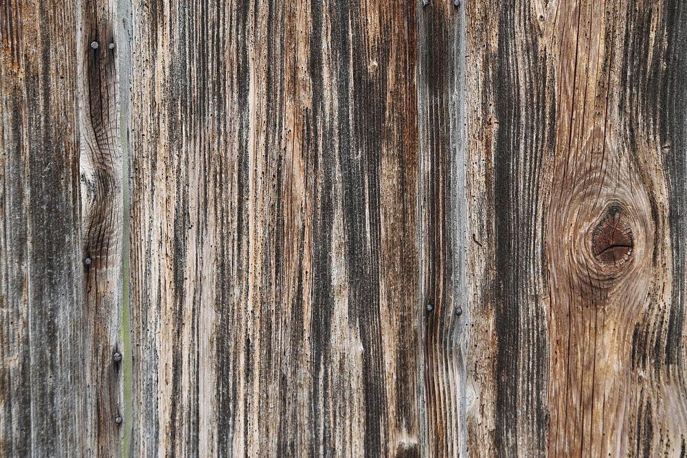 Weathered wood texture background, close up design