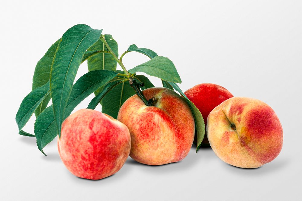 Organic peach clipart, fresh fruit
