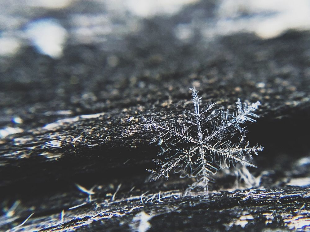 Free closeup of snowflake on ground image, public domain CC0 photo.