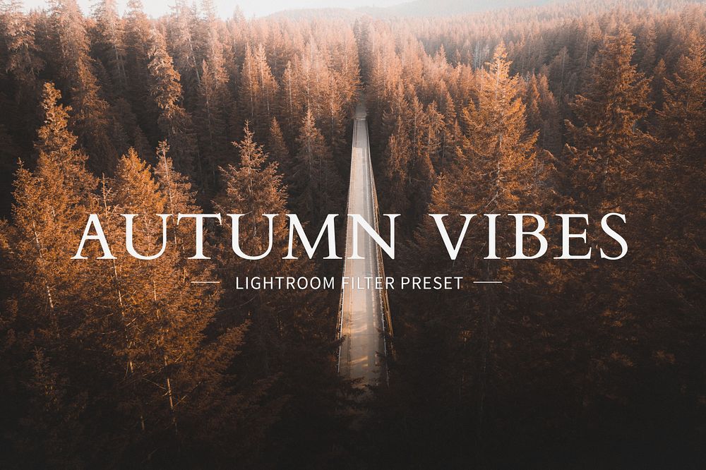 Autumn Lightroom preset filter, mobile and desktop warm tone travel blogger & influencer fall colors vibes add-on