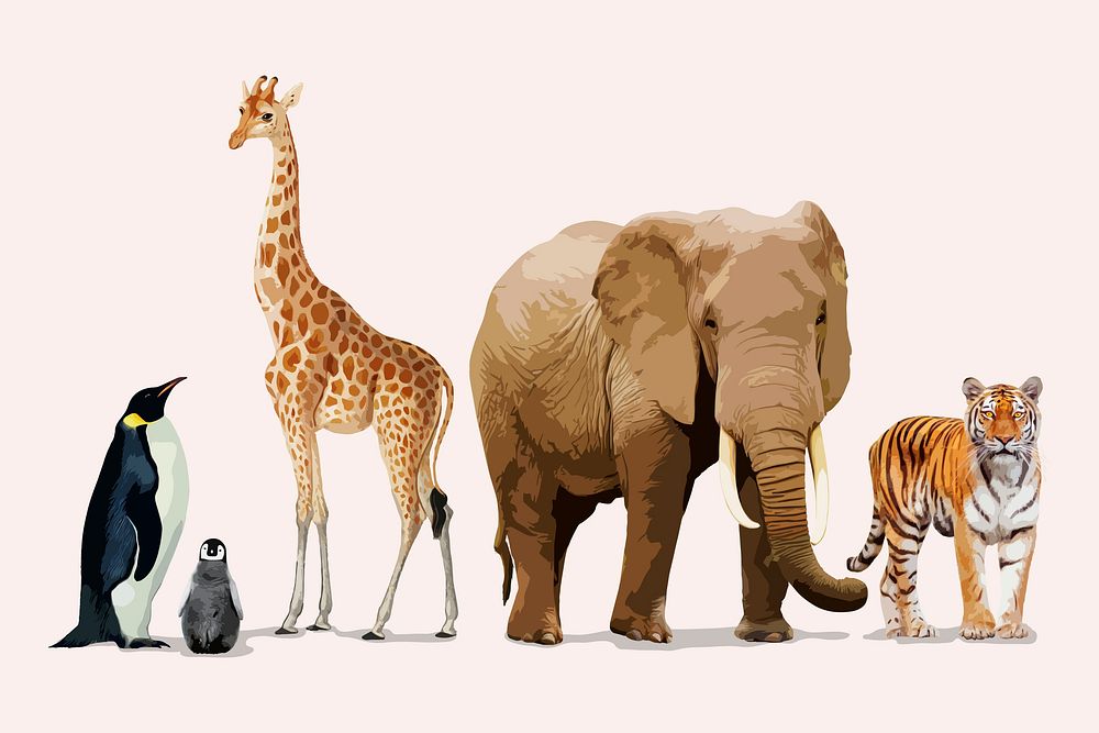 Zoo animal & wildlife clipart, aesthetic illustration