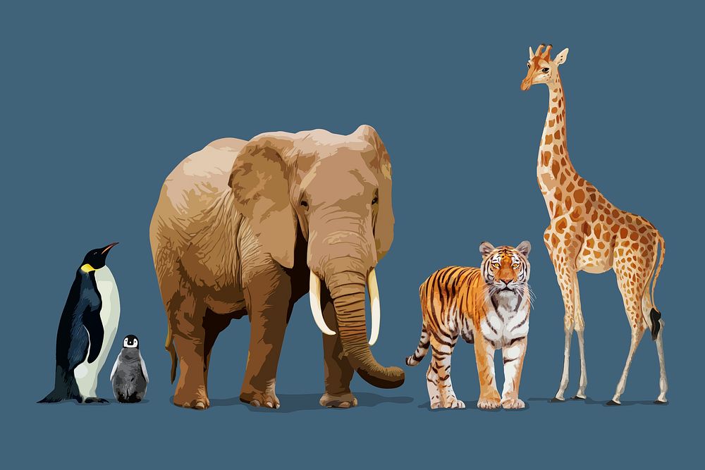 Zoo animal & wildlife clipart, aesthetic illustration