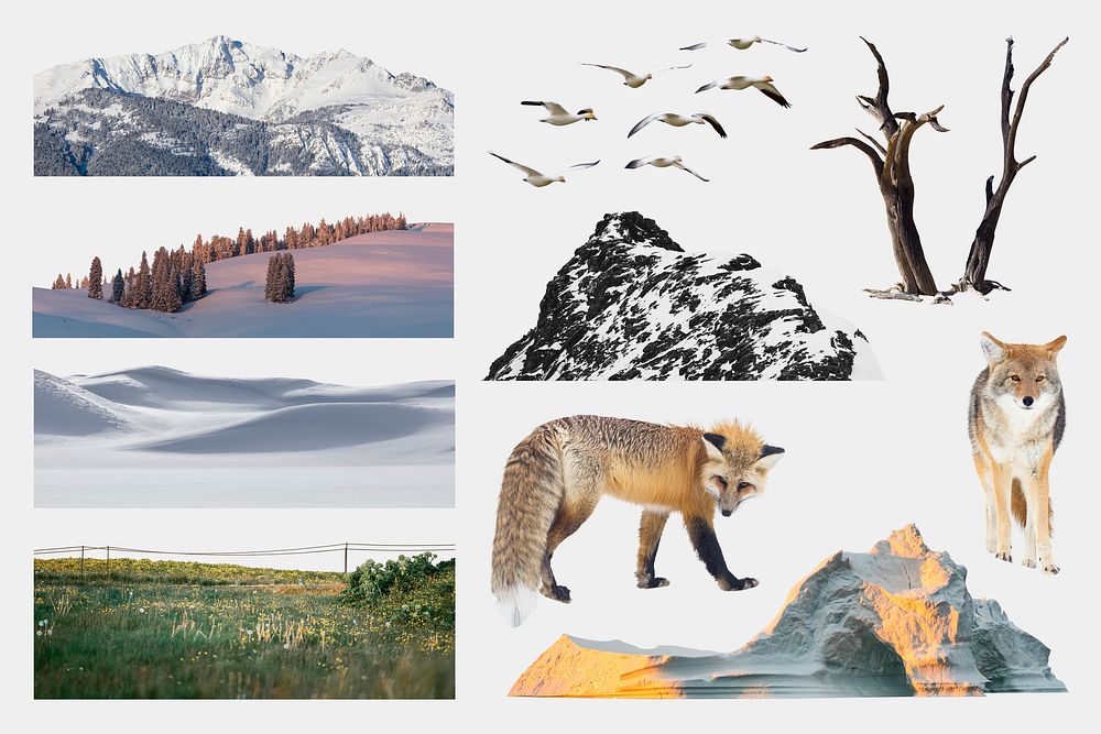 Landscape collage elements set, nature & animal psd 