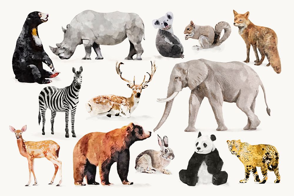 Watercolor wildlife illustrations, animal design set vector