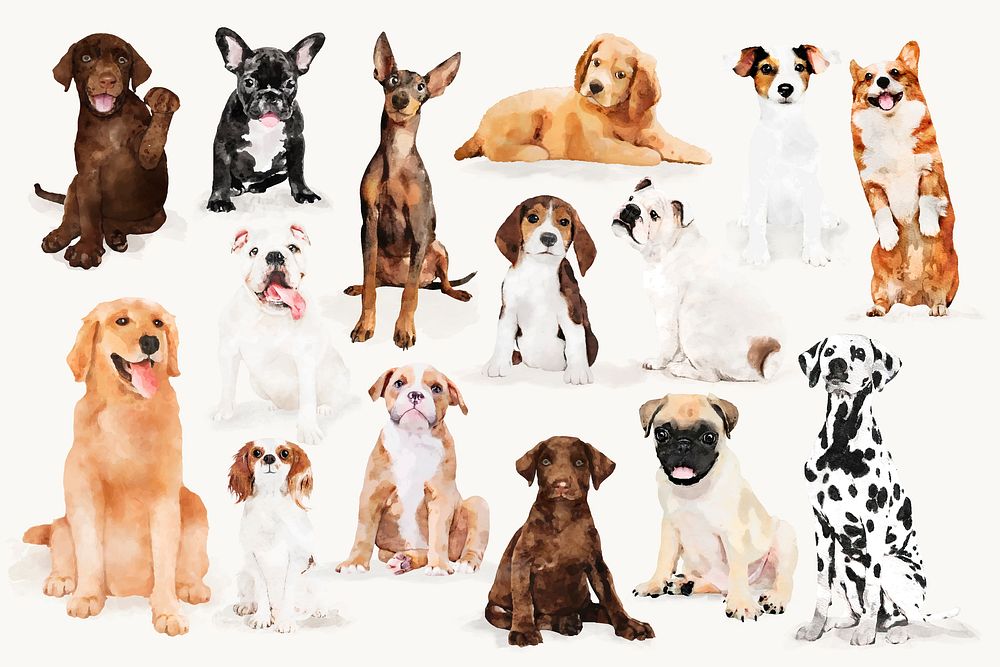 Watercolor dog illustrations, pet design set vector