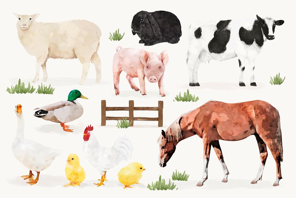 Watercolor farm animal illustrations design set vector