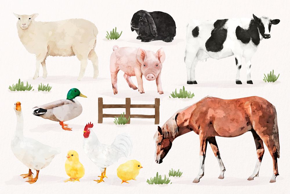 Farm animal watercolor illustrations, farm design set psd