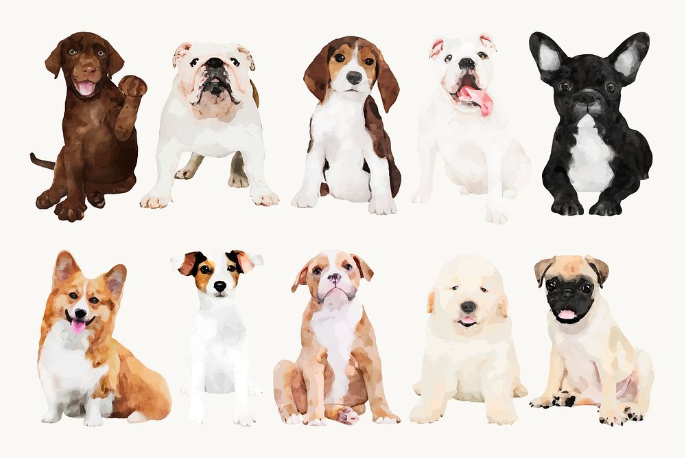 Watercolor puppy illustrations, dog design vector set