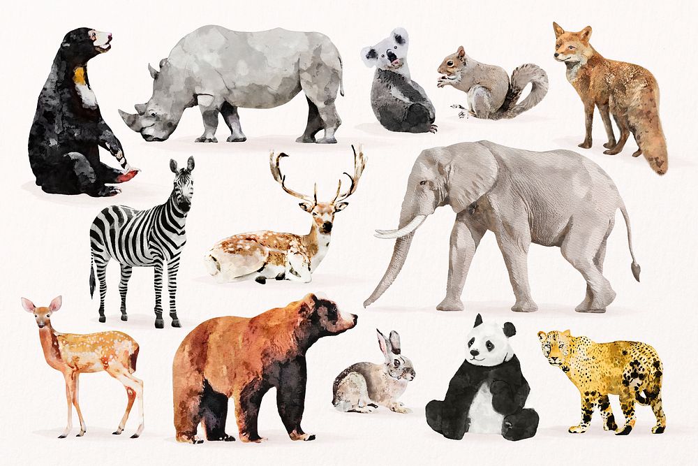 Wildlife animal watercolor illustrations design set psd