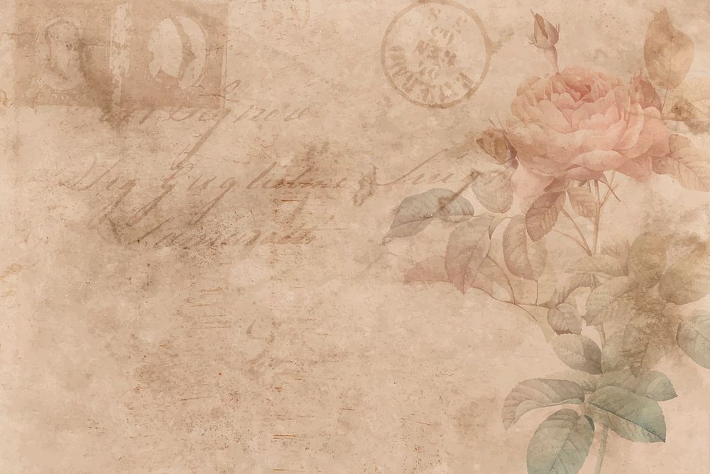 Vintage rose background with handwriting and postmark vector 