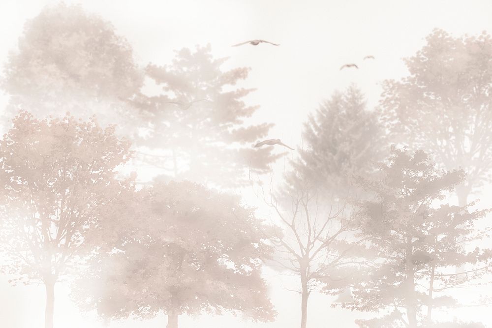 Foggy forest background, aesthetic design beige wallpaper