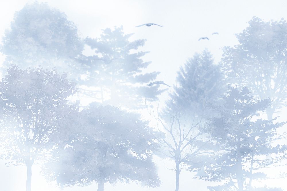 Foggy forest background, aesthetic design blue wallpaper