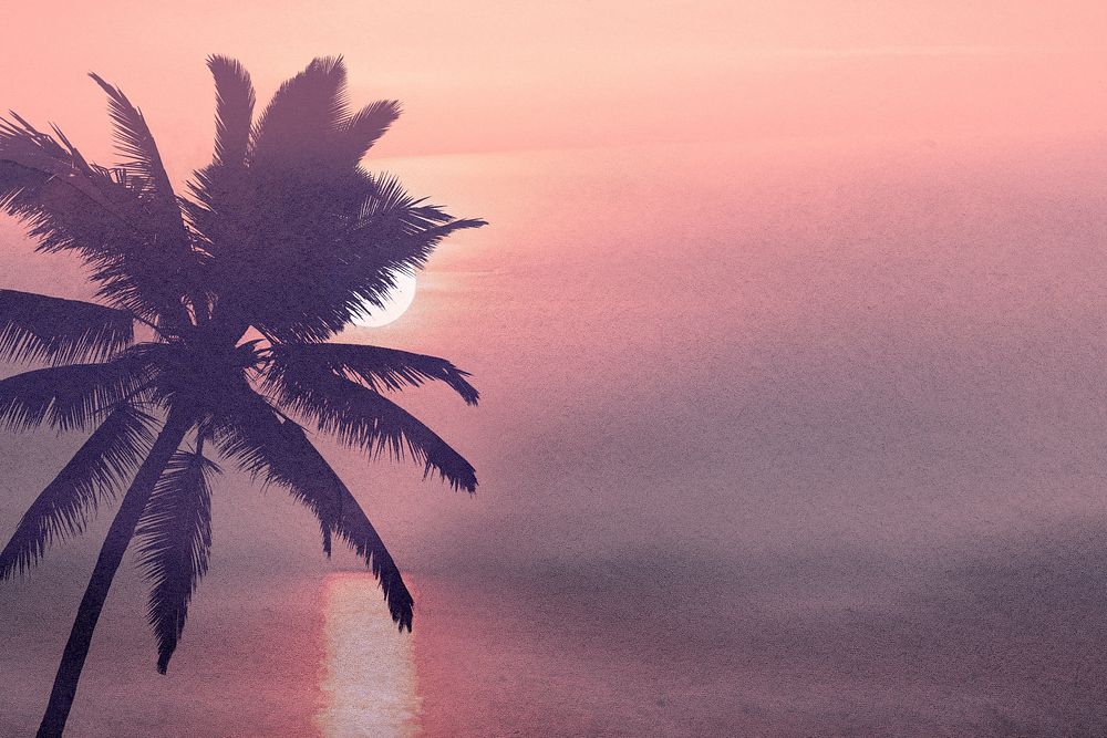 Aesthetic sunset background, palm tree shadow, nature design psd