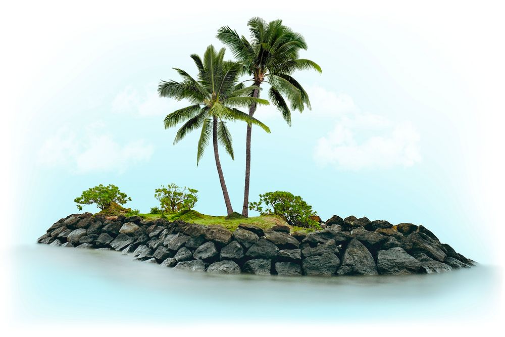 Palm tree on island isolated on white, beach design