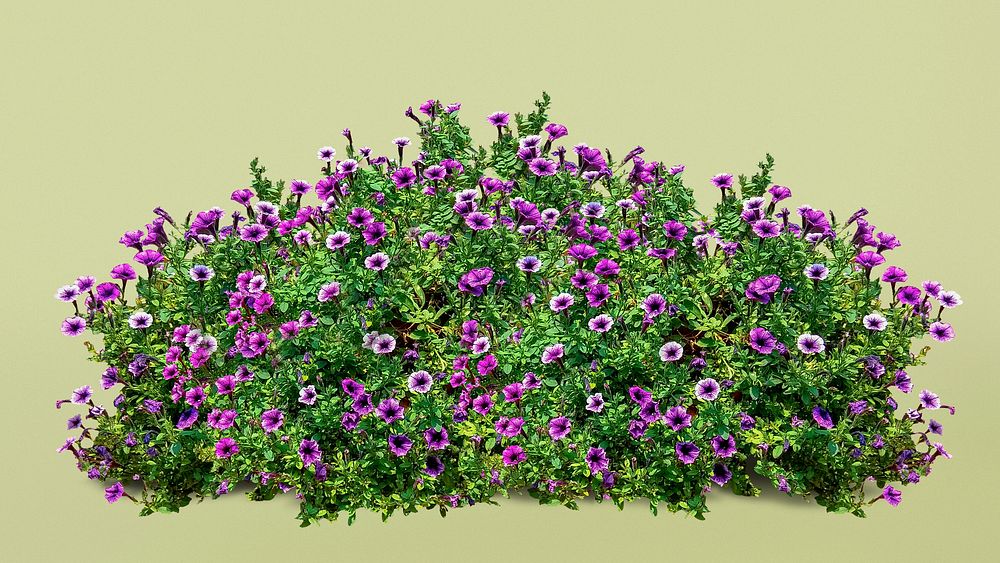 Flower bush collage element, nature design psd