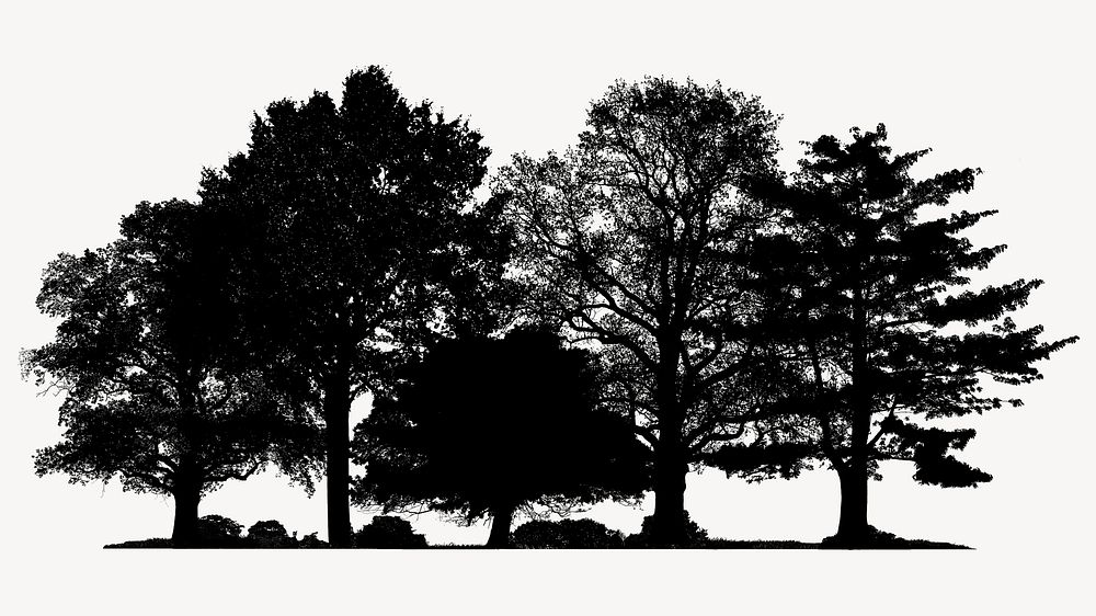 Silhouette trees isolated on white, nature design psd