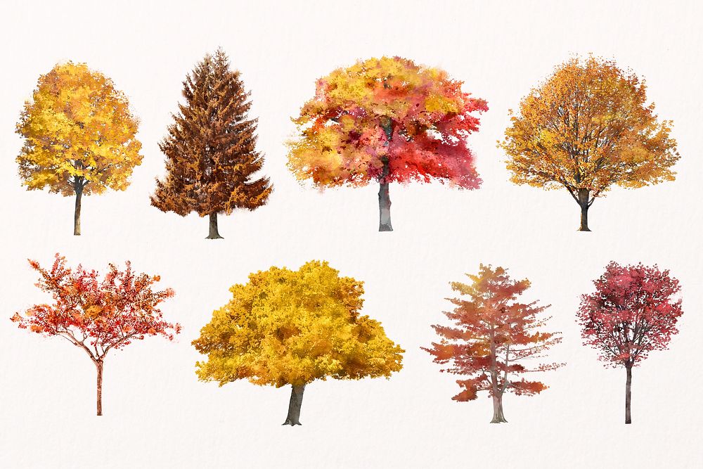 Autumn tree illustration set, orange nature design psd