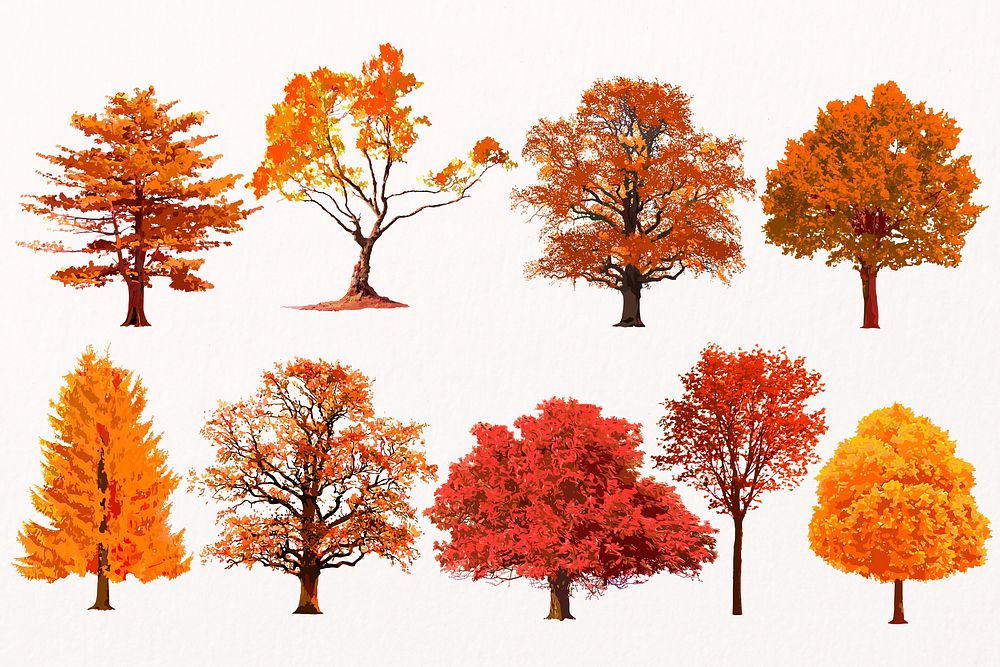 Autumn tree illustration set, nature design psd