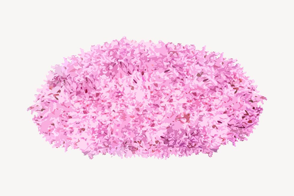 Pink bush isolated on white, nature design