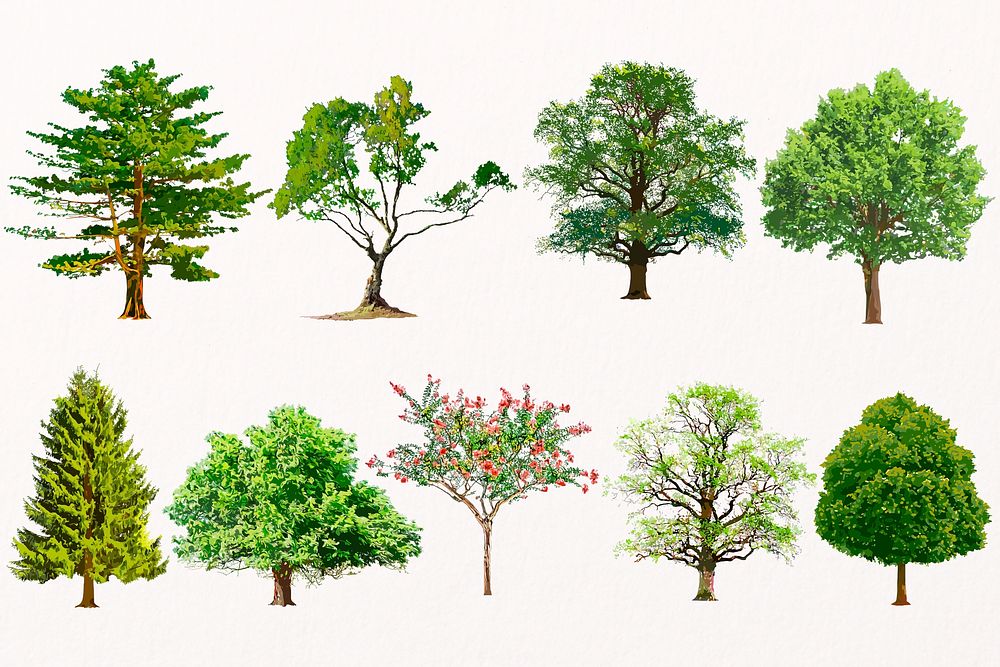 Tree illustration set, nature design psd