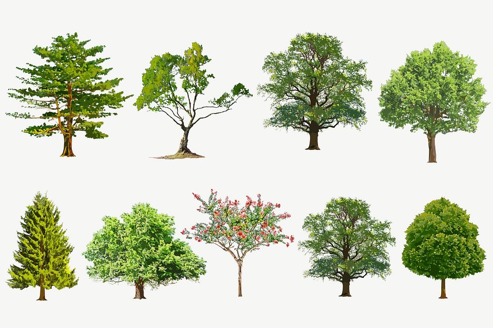 Tree illustration set, nature design vector
