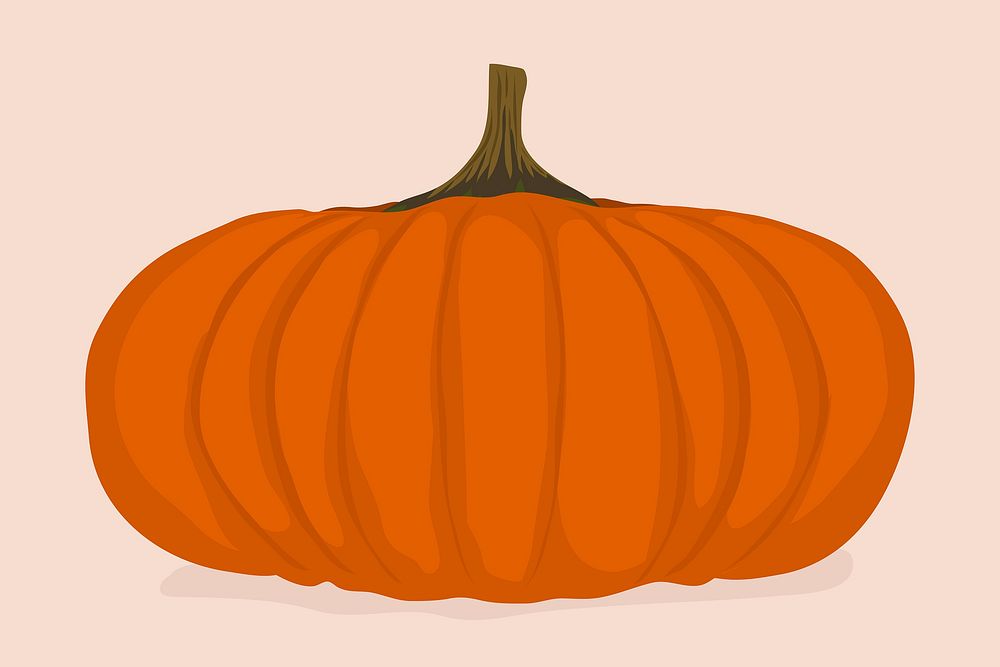 Pumpkin fruit clipart, realistic illustration design