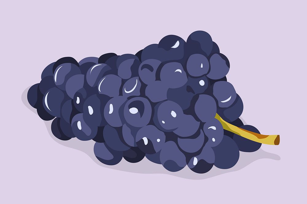 Grapes clipart, fruit illustration design vector