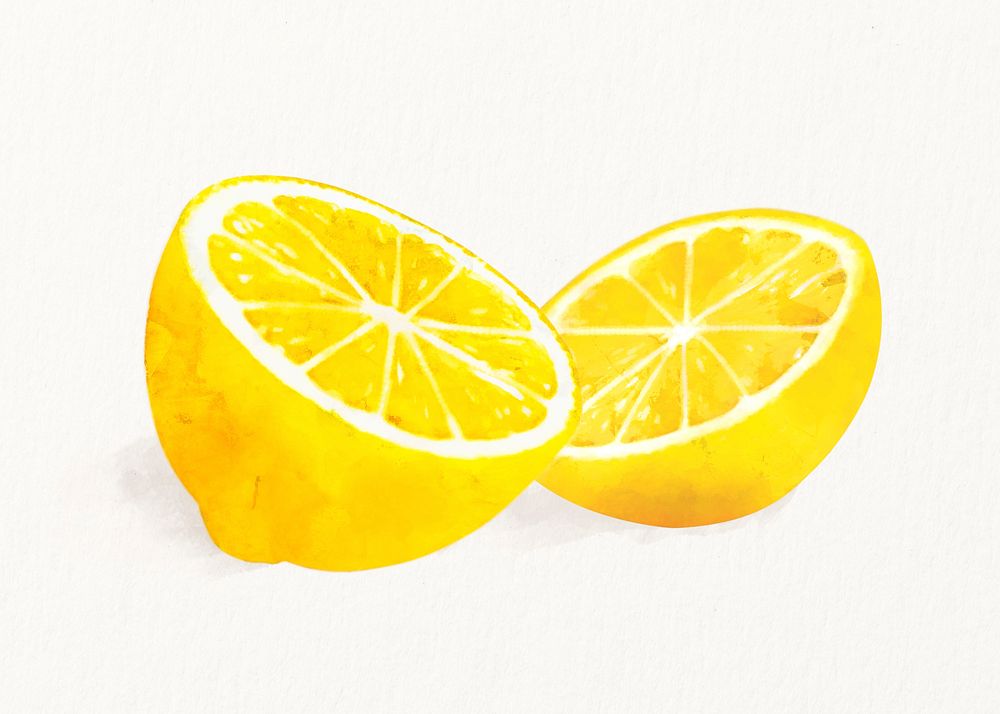 Watercolor lemon illustration, fruit drawing graphic