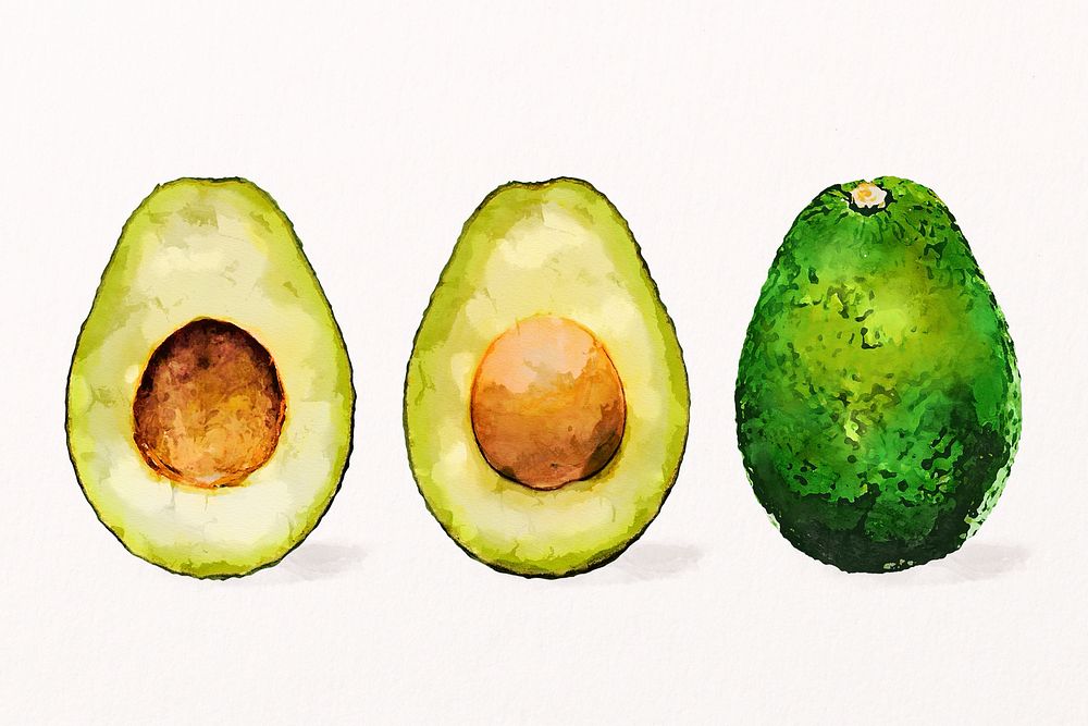 Watercolor avocadoes clipart, fruit illustration psd