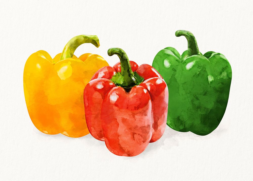 Watercolor bell peppers clipart, vegetable illustration vector art