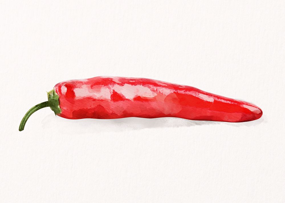 Watercolor red chili clipart, vegetable illustration psd